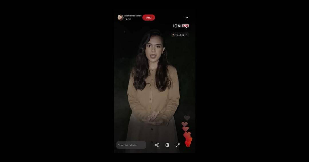 Youtube.com/IDN Pictures